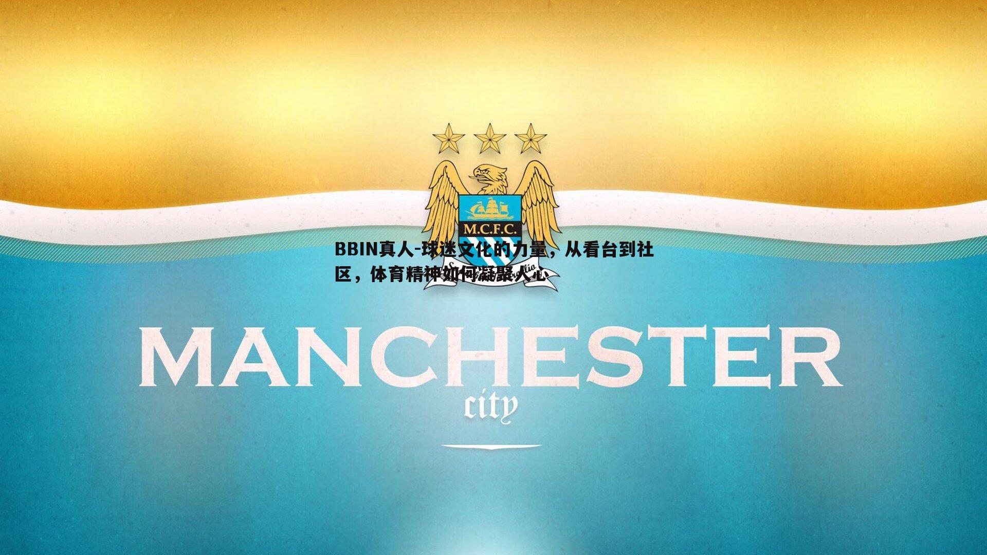 BBIN真人-球迷文化的力量，从看台到社区，体育精神如何凝聚人心